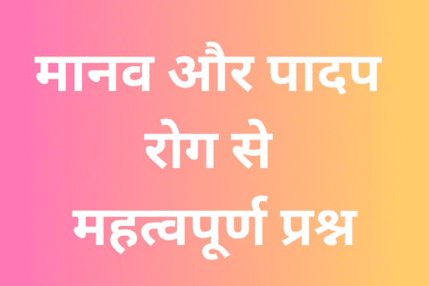 Manav aur Padap Rog MCQ in Hindi