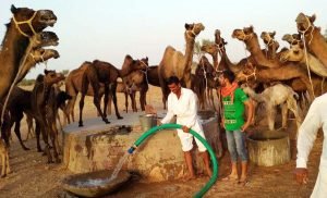 Rajasthan Krishi Sinchai Pariyojana Quiz