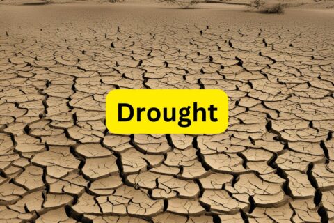 Drought Sarat Chandra Chattopadhyay Summary