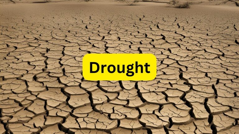 Drought Sarat Chandra Chattopadhyay Summary