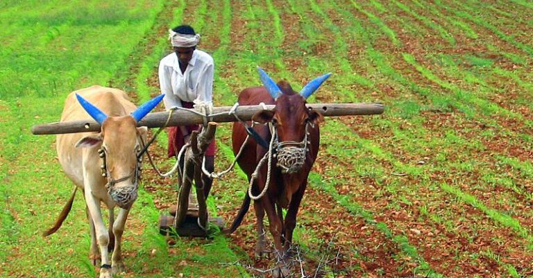 agriculture objective questions in hindi