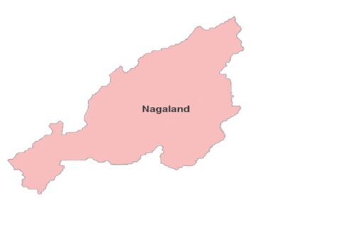 Nagaland State Questions