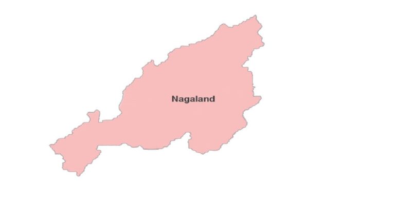 Nagaland State Questions