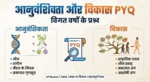 आनुवंशिकता और विकास PYQ