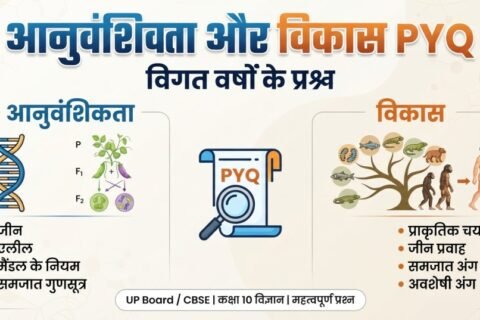 आनुवंशिकता और विकास PYQ