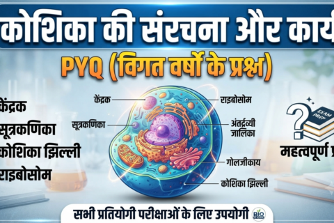 कोशिका की संरचना और कार्य PYQ