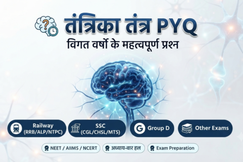 तंत्रिका तंत्र PYQ