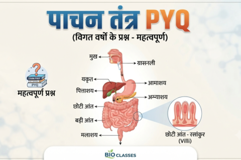 पाचन तंत्र PYQ