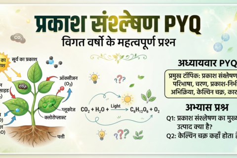 प्रकाश संश्लेषण PYQ