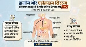 हार्मोन और एंडोक्राइन सिस्टम pyq
