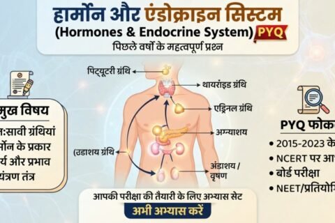 हार्मोन और एंडोक्राइन सिस्टम pyq